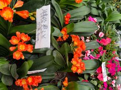 -石家庄市植物园