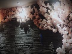 -迈格笙SPA·影院式足道·采耳(金桥店)