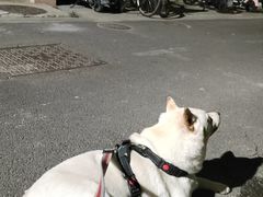 -美联众合24小时·皮肤科·外科·全科诊疗中心(华苑分院)