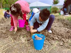 -季高兔窝窝亲子园(上海薰衣草公园店)