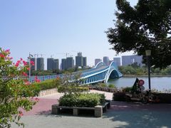 -五缘湾湿地公园