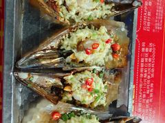 -海大南门夜市(海富街店)