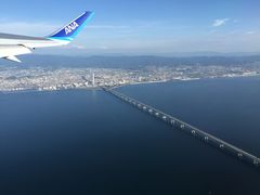 -全日本空输株式会社(上海办事处)