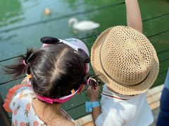 -长白岛森林公园