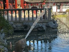 -檀园
