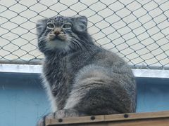 -青藏高原野生动物园