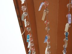 -九龙湖公园