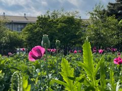 -国家植物园南园