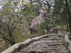 -阳台山自然风景区