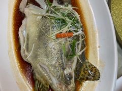 -寻味顺德·南记酒家·传统顺德菜·鱼生(广源路店)