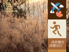 -梁鸿国家湿地公园