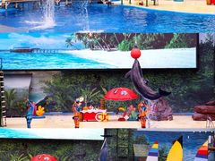 -海合安天津极地海洋公园