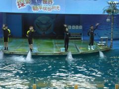 -苏州海洋馆