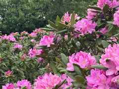 -名花谷生态庄园