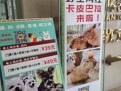 -怪兽屋·羊驼·猫咖·狗咖(俊华广场店)