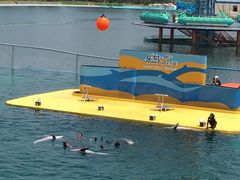 -秦皇岛乐岛海洋王国