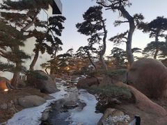 -罗红摄影艺术馆