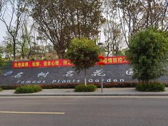 -东莞植物园
