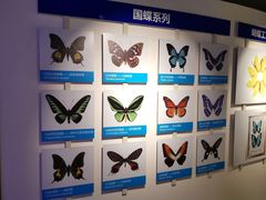 -吉林省自然博物馆