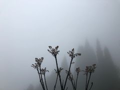 -太阳湾风景区