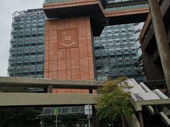 -香港大学