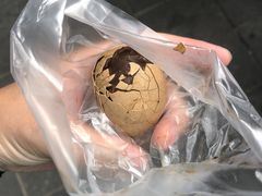 -金盆阿嬷香菇茶叶蛋(玄光店)