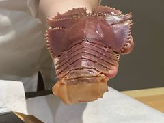 -镹·鱼料理  国产鱼使用店