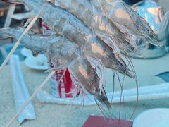 -濠轩阁特色生蚝火锅总店