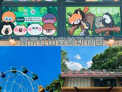 -红山森林动物园