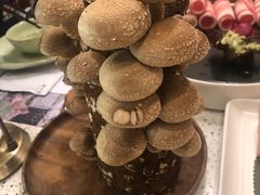 -椰子营·椰子鸡火锅(万象里店)