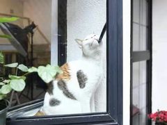 -羽·摄影工作室·外拍·跟拍·活动会议视频