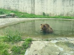 -上方山森林动物世界