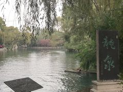 -百脉泉景区