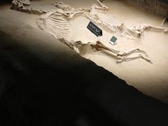 -洛阳周王城天子驾六博物馆