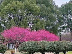 -滨湖塘西河公园