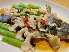 清蒸笋壳鱼-德胜轩正宗顺德菜(宝安沙井会展中心店)
