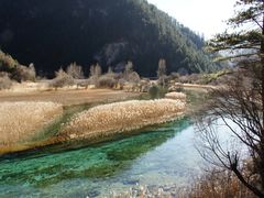 -九寨沟-树正沟