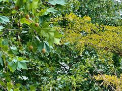 -长辛店二七公园