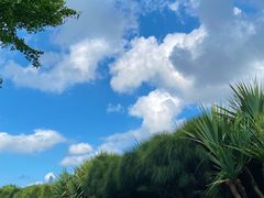 -深圳湾公园(南山区)