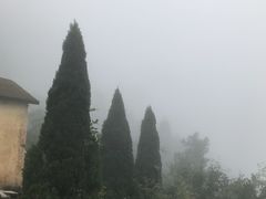 -井冈山风景名胜区-黄洋界
