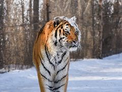 -沈阳森林动物园