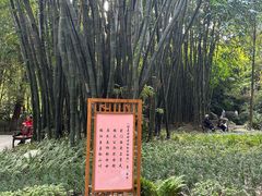 -望江楼公园