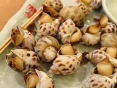 白灼花螺-抱德·潮汕味(敦和店原惠城鱼仔)