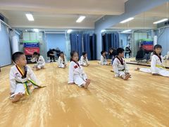 -嗨动跆拳道体能馆(菜百店)