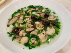 -品悦酒店(三林古镇店)