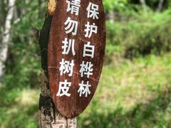 -塞罕坝国家级自然保护区