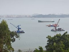 -大湾区中央湿地公园-十九涌