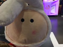 -PAWTOY爪e玩偶店(天兴罗斯福店)