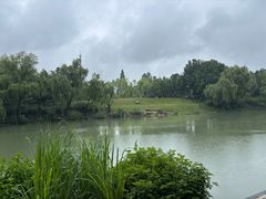 -中国湿地博物馆