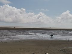 -启东黄金海滩景区